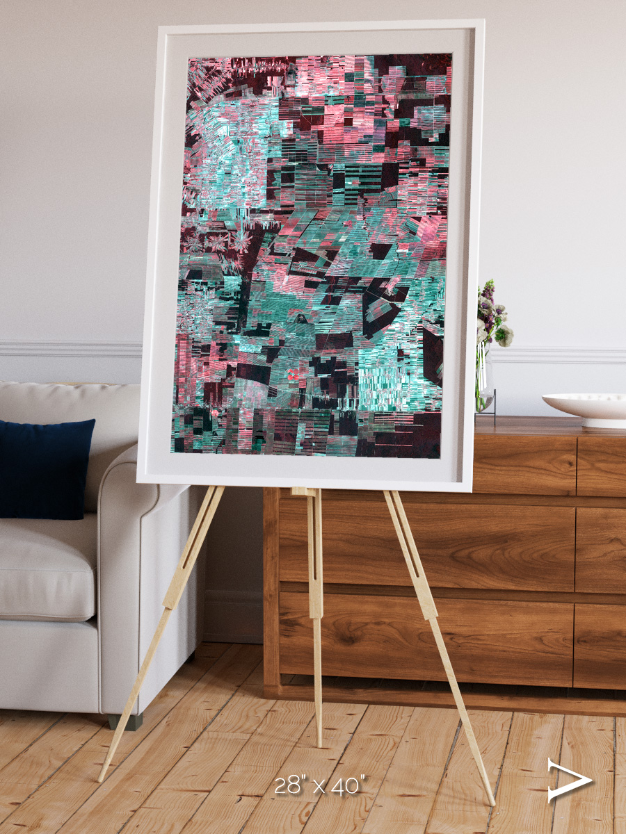 Fractured Canopy, Bolivia Framed & Mounted Print