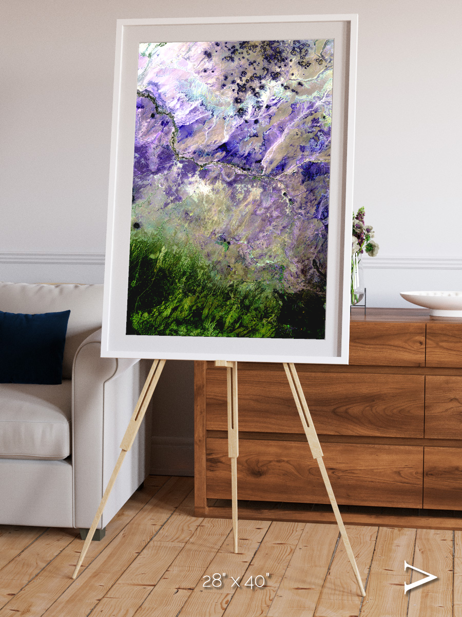 Arid Mosaic, Desert to Forest Framed & Mounted Print