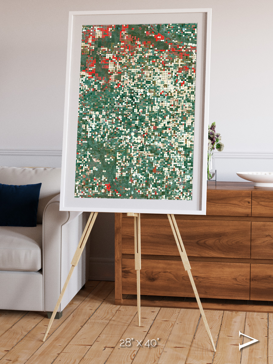 Patterns of Growth, Garden City Framed & Mounted Print