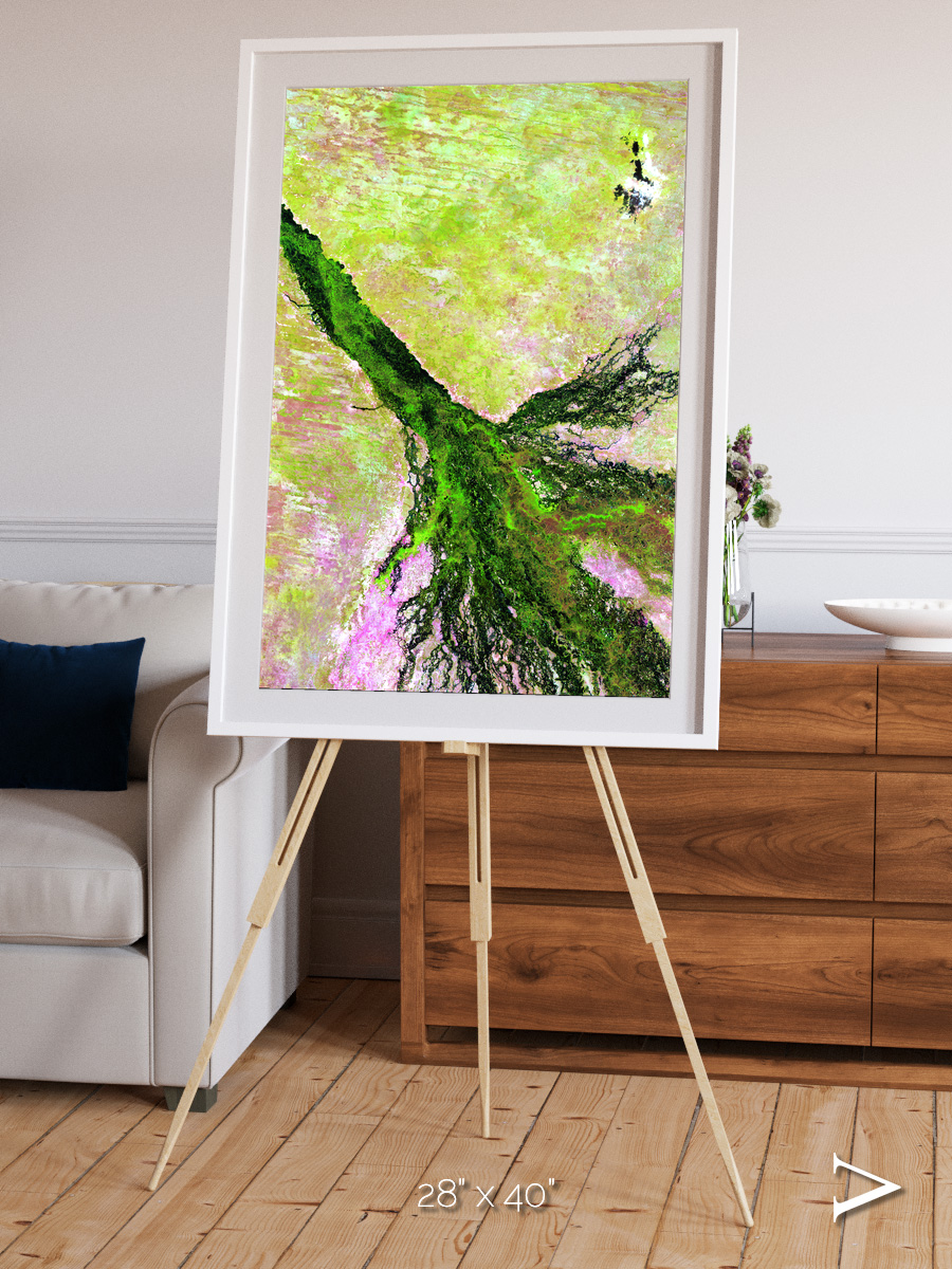 Inland Bloom, Okavango Framed & Mounted Print