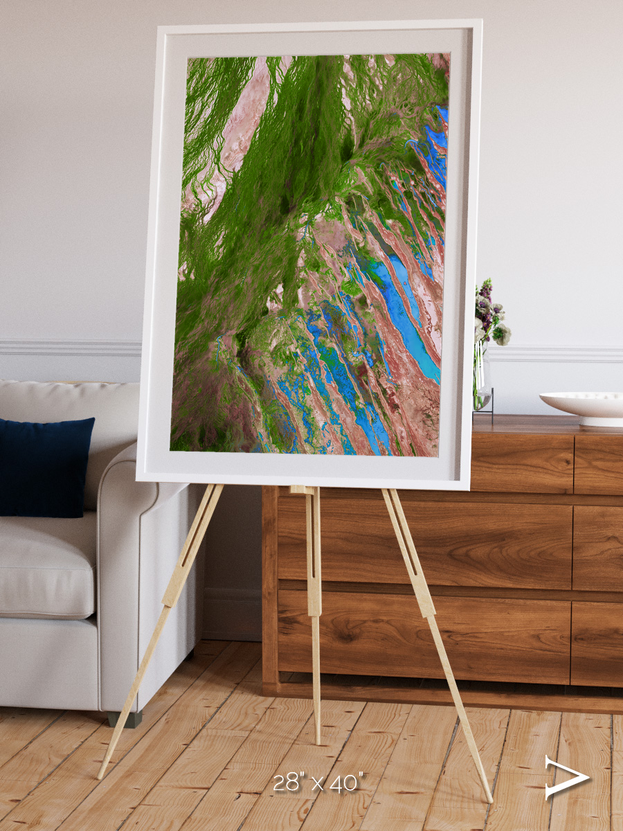 Desert Bloom, Lake Eyre Basin Framed & Mounted Print