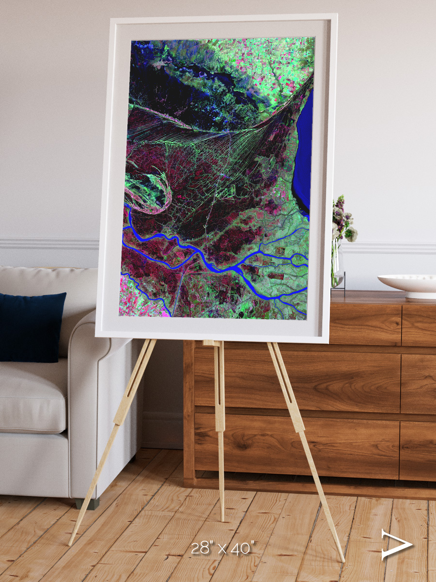 Braided Delta, Parana River Delta Framed & Mounted Print
