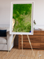 Ribbon River, South America Framed & Mounted Print
