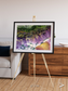 Saline Patterns, Bogda Mountains Framed & Mounted Print