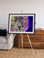Wetland Mosaic, Cabo San Antonio Framed & Mounted Print