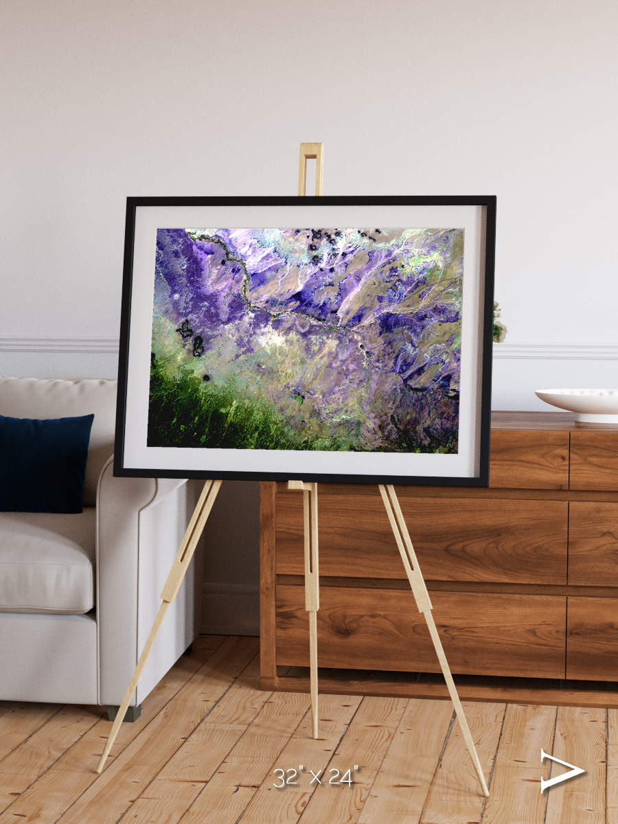 Arid Mosaic, Desert to Forest Framed & Mounted Print