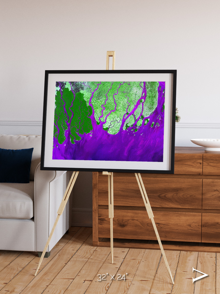 Delta Mosaic, Ganges River Delta Framed & Mounted Print