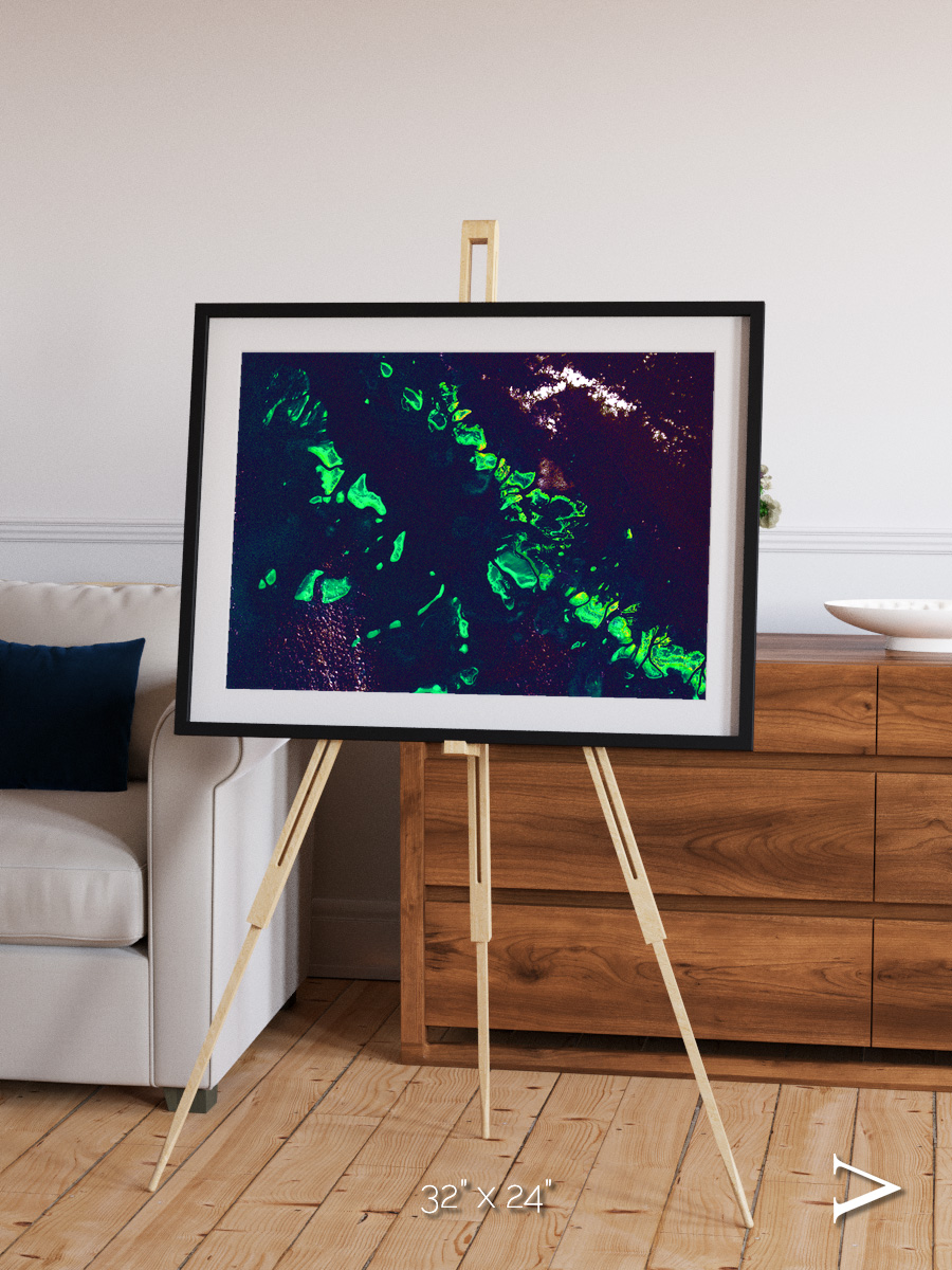 Patterned Ground, Great Barrier Reef Framed & Mounted Print