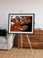 Striped Coast, Eyjafjörður Framed & Mounted Print