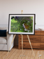 Vortex Trails, Mount Elgon Framed & Mounted Print