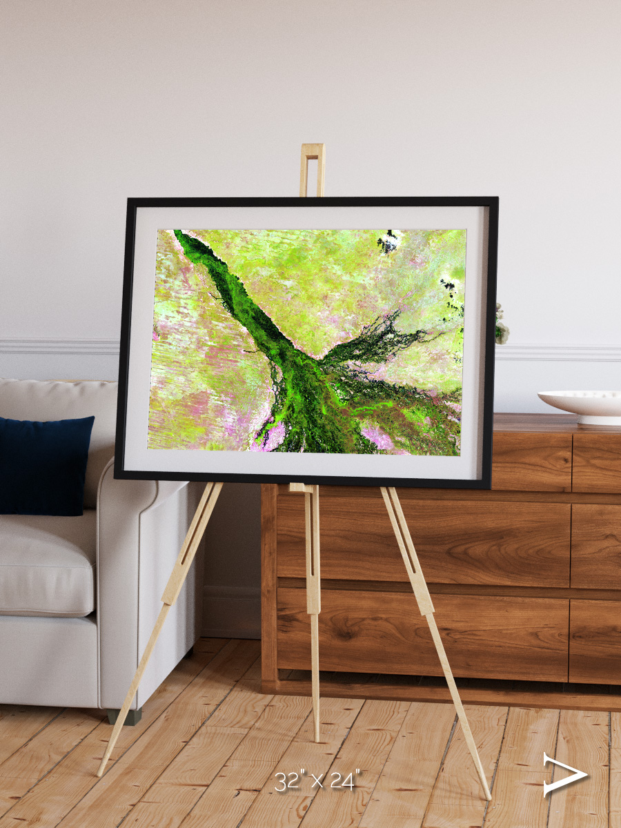 Inland Bloom, Okavango Framed & Mounted Print