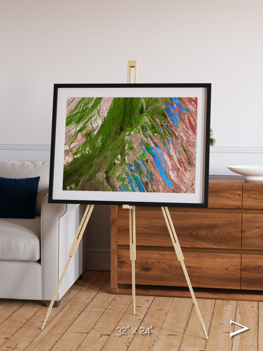 Desert Bloom, Lake Eyre Basin Framed & Mounted Print