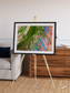 Desert Bloom, Lake Eyre Basin Framed & Mounted Print