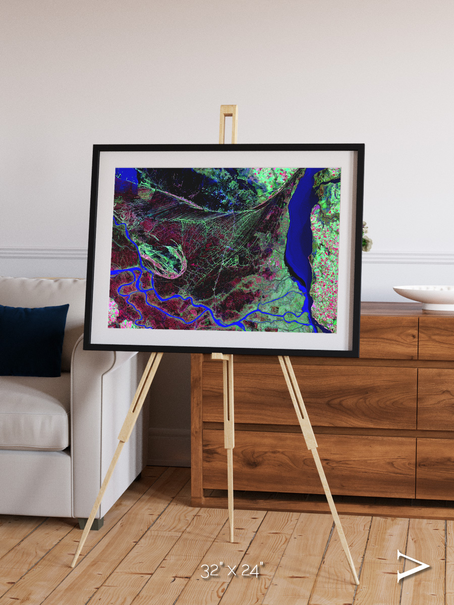 Braided Delta, Parana River Delta Framed & Mounted Print
