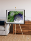 Dormant Giants, Richat Structure Framed & Mounted Print
