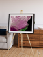 Monsoon Divide, Dhofar Framed & Mounted Print