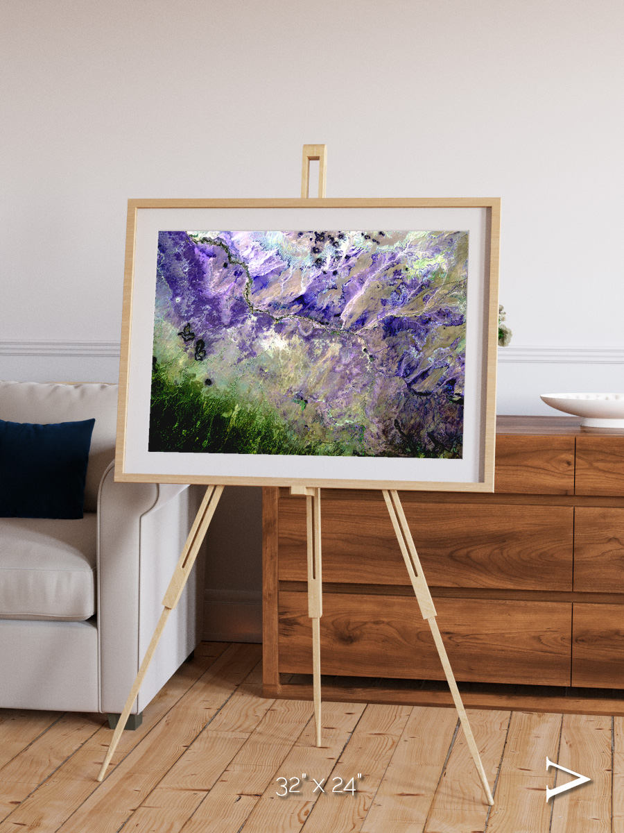 Arid Mosaic, Desert to Forest Framed & Mounted Print