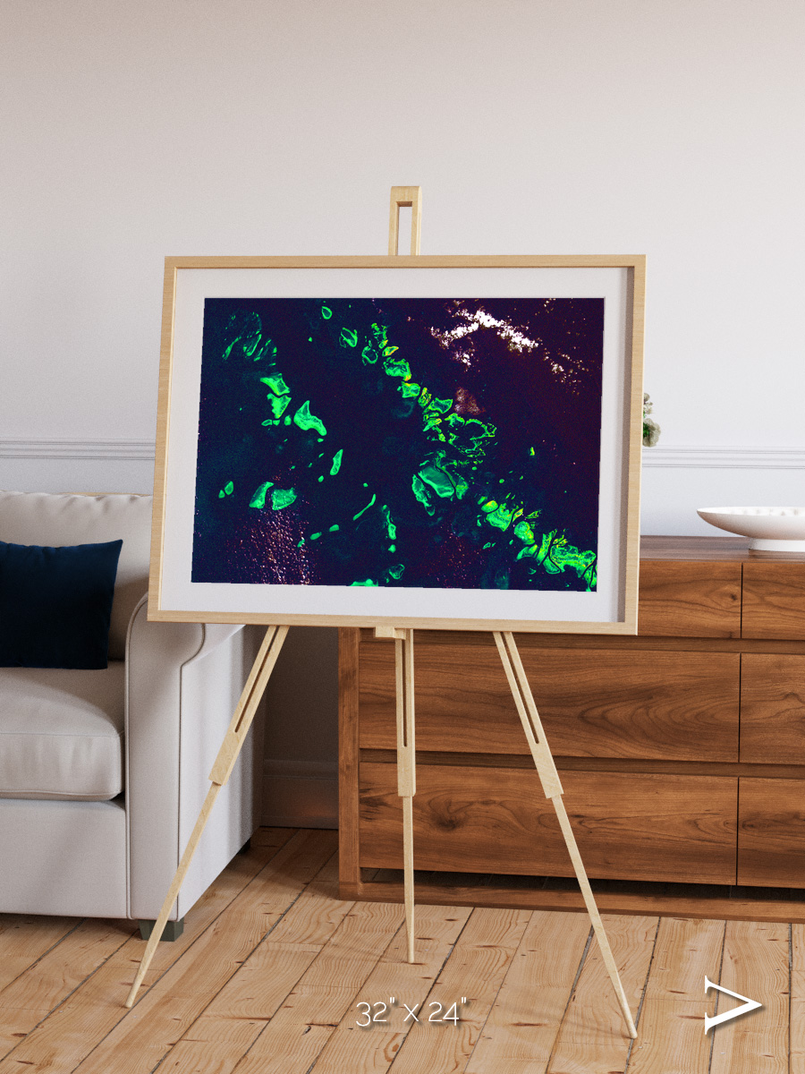 Patterned Ground, Great Barrier Reef Framed & Mounted Print