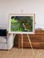 Vortex Trails, Mount Elgon Framed & Mounted Print