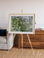Earth in Colour, Namaqualand Framed & Mounted Print