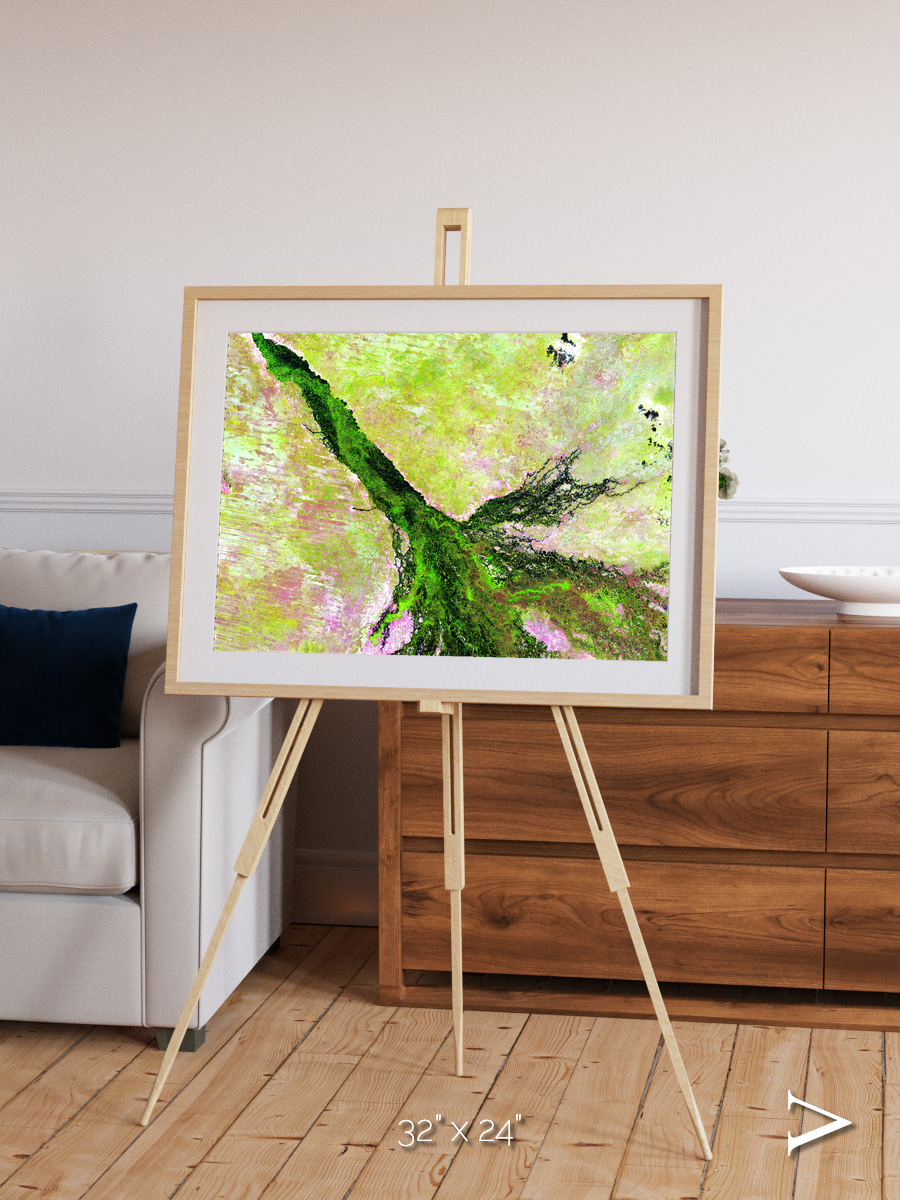 Inland Bloom, Okavango Framed & Mounted Print