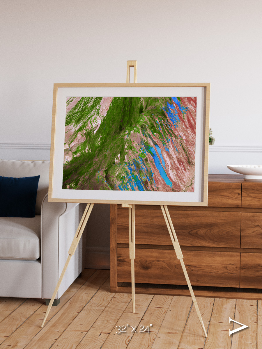 Desert Bloom, Lake Eyre Basin Framed & Mounted Print