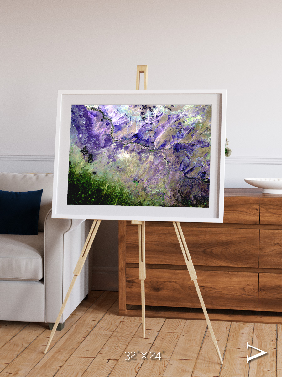 Arid Mosaic, Desert to Forest Framed & Mounted Print