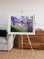 Arid Mosaic, Desert to Forest Framed & Mounted Print