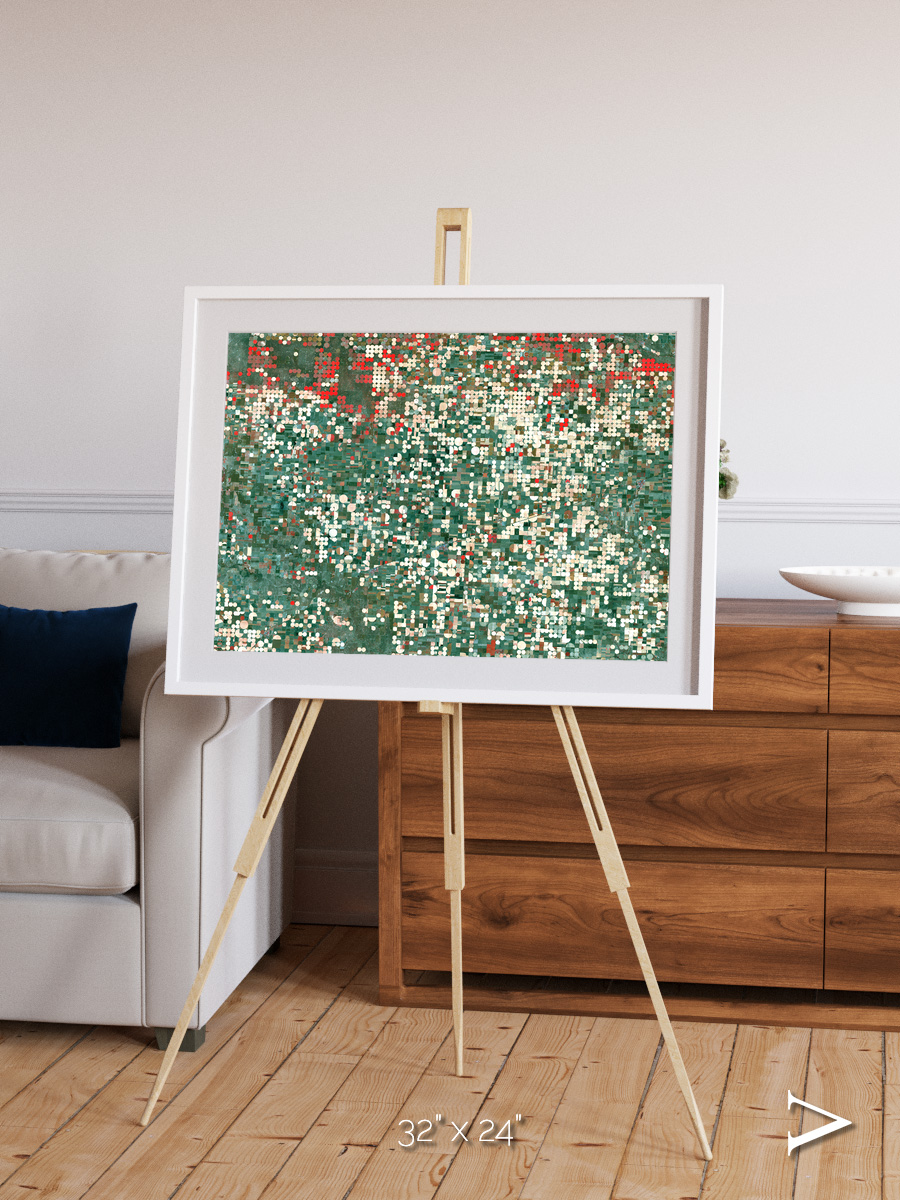 Patterns of Growth, Garden City Framed & Mounted Print