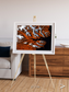 Striped Coast, Eyjafjörður Framed & Mounted Print