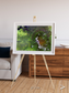 Vortex Trails, Mount Elgon Framed & Mounted Print
