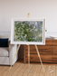 Earth in Colour, Namaqualand Framed & Mounted Print