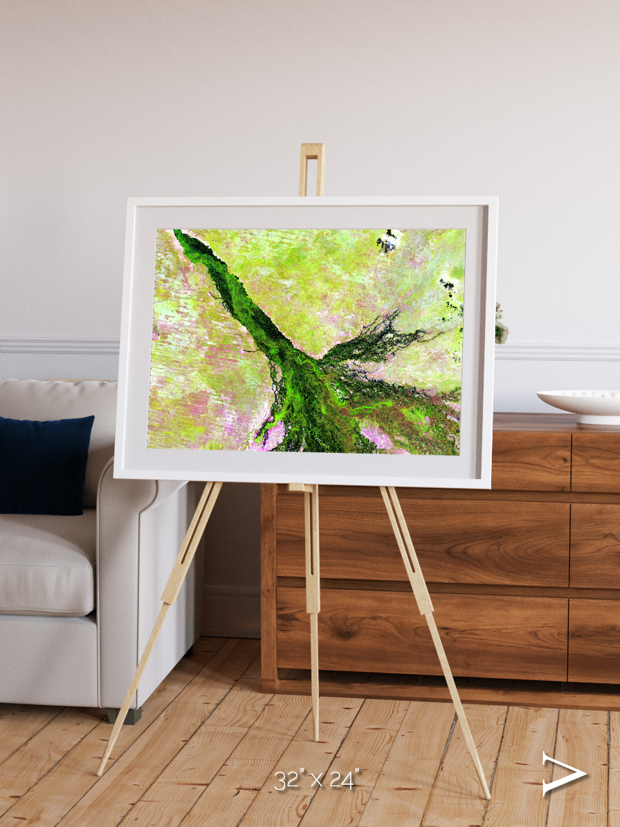 Inland Bloom, Okavango Framed & Mounted Print