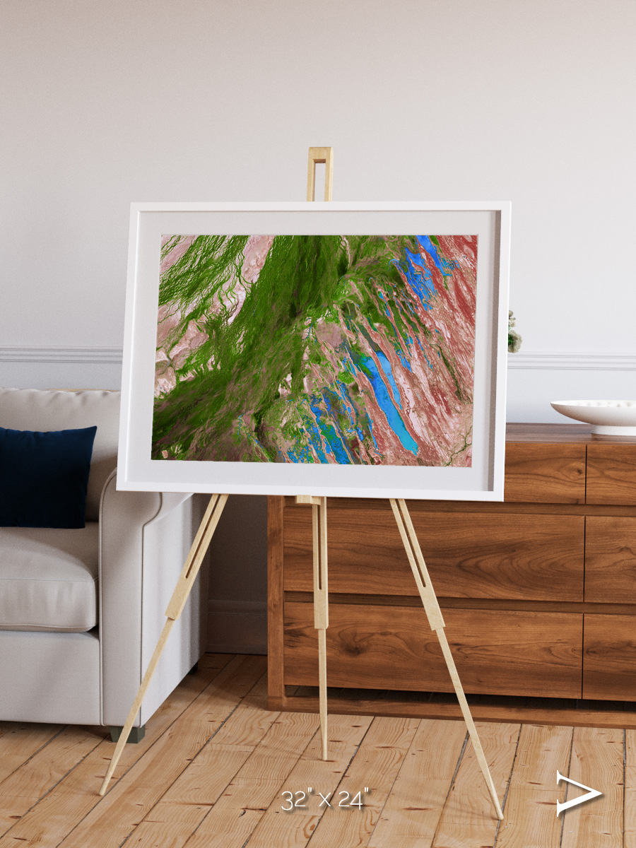 Desert Bloom, Lake Eyre Basin Framed & Mounted Print