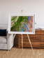 Desert Bloom, Lake Eyre Basin Framed & Mounted Print