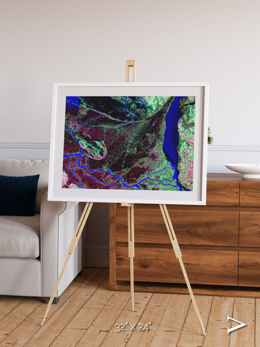 Braided Delta, Parana River Delta Framed & Mounted Print