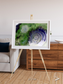 Dormant Giants, Richat Structure Framed & Mounted Print