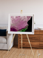 Monsoon Divide, Dhofar Framed & Mounted Print