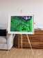 Polar Flow, Yukon Delta Framed & Mounted Print