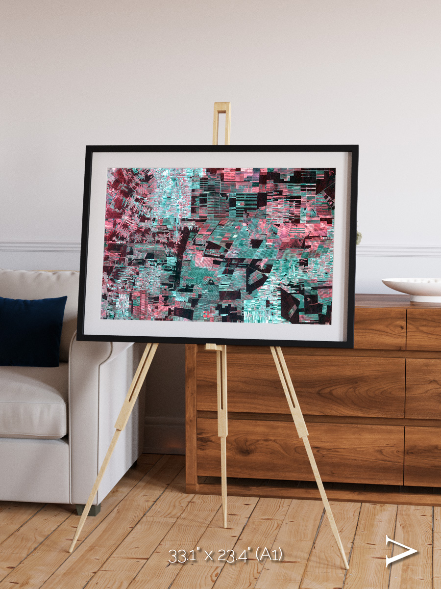 Fractured Canopy, Bolivia Framed & Mounted Print