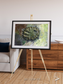Windwritten Dunes, Brandberg Massif Framed & Mounted Print