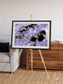 Vortices over Broutona, Kuril Islands Framed & Mounted Print