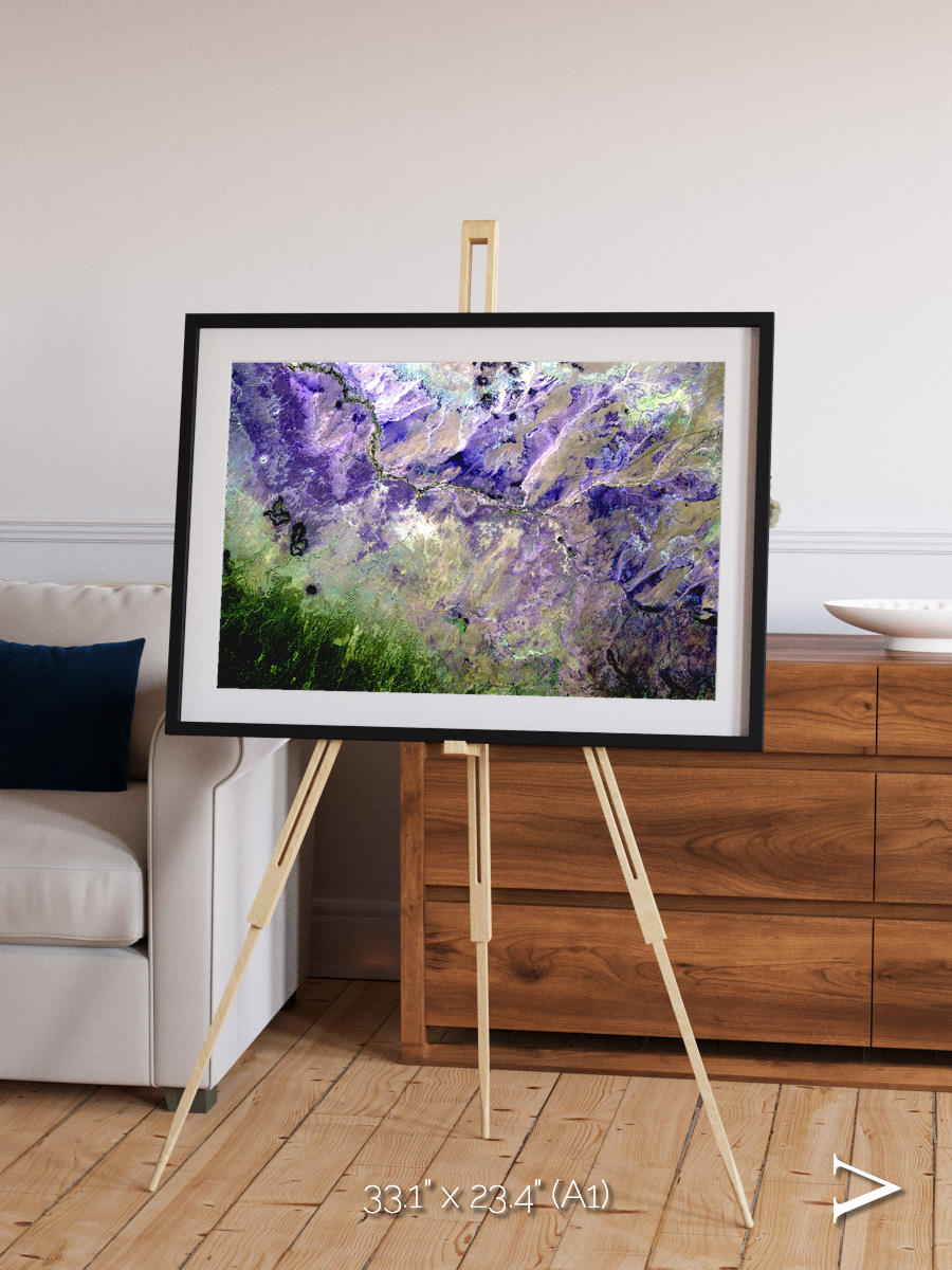 Arid Mosaic, Desert to Forest Framed & Mounted Print