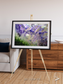 Arid Mosaic, Desert to Forest Framed & Mounted Print