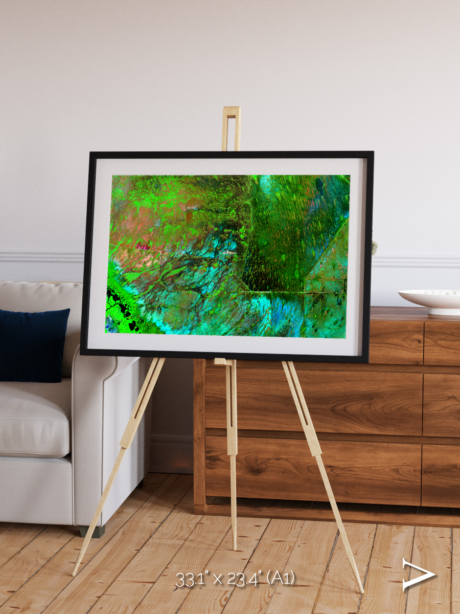 Linear Dunes, Florida Everglades Framed & Mounted Print