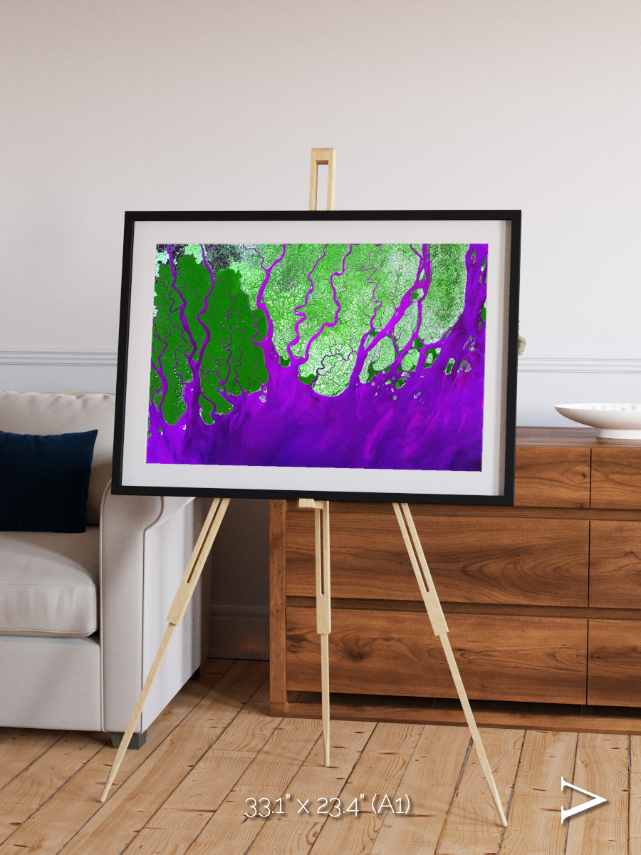Delta Mosaic, Ganges River Delta Framed & Mounted Print