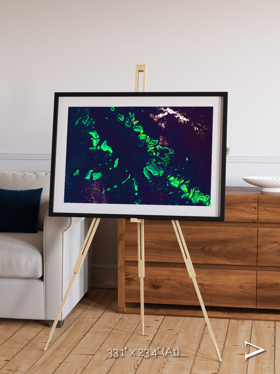 Patterned Ground, Great Barrier Reef Framed & Mounted Print