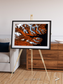 Striped Coast, Eyjafjörður Framed & Mounted Print
