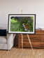 Vortex Trails, Mount Elgon Framed & Mounted Print
