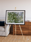 Earth in Colour, Namaqualand Framed & Mounted Print